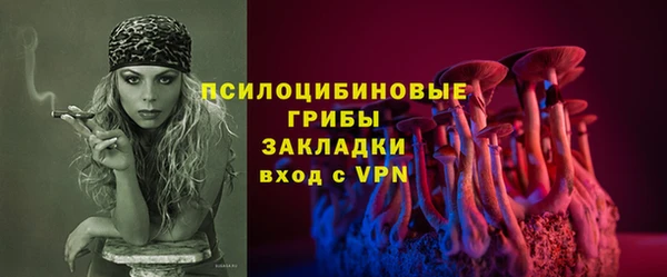 не бодяженный Кукмор